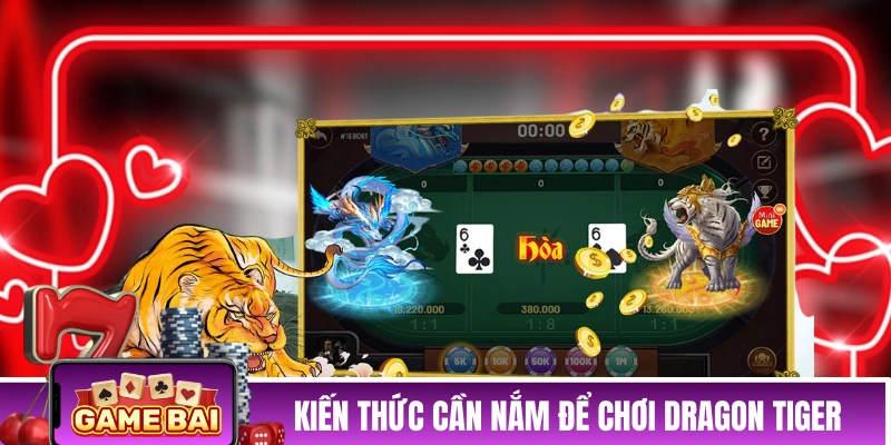 Những kiến thức cần nắm để có thể chơi Dragon Tiger